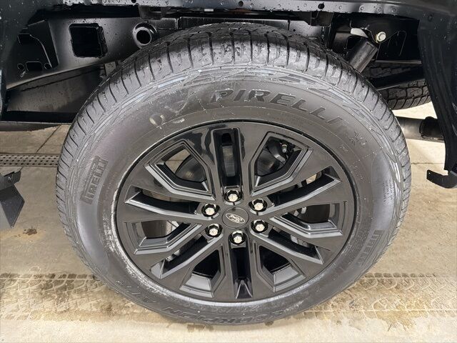 2026 Ford F-150 XLT Pine River MN