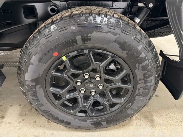 2026 Ford F-150 XLT Pine River MN