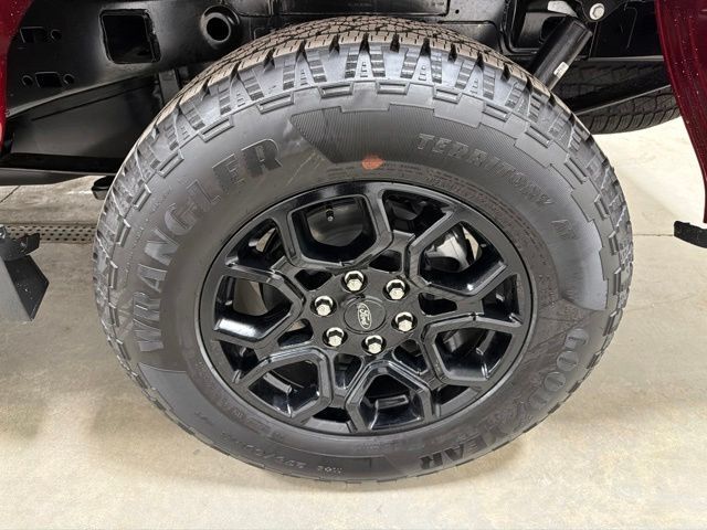 2026 Ford F-150 XLT Pine River MN