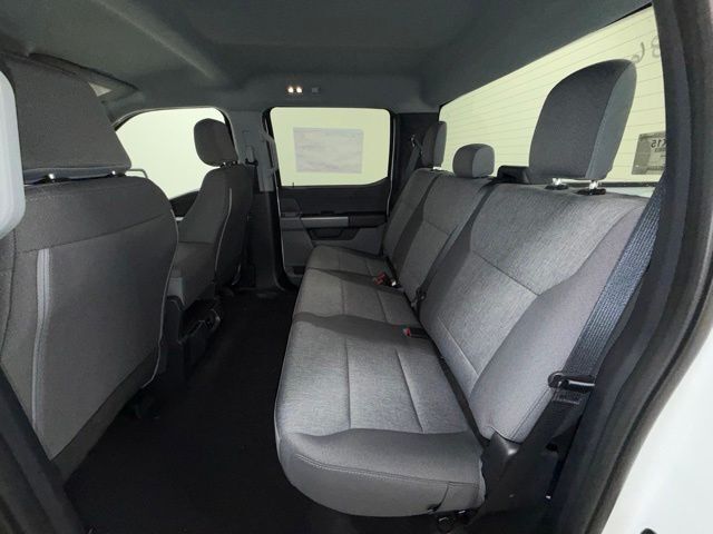 2026 Ford F-150 XLT Pine River MN