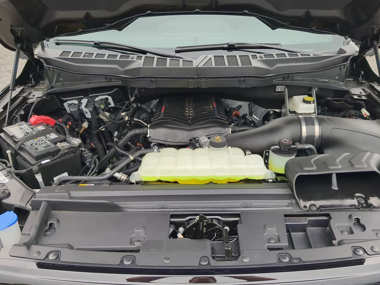 2026 Ford F-150 XLT Winder GA