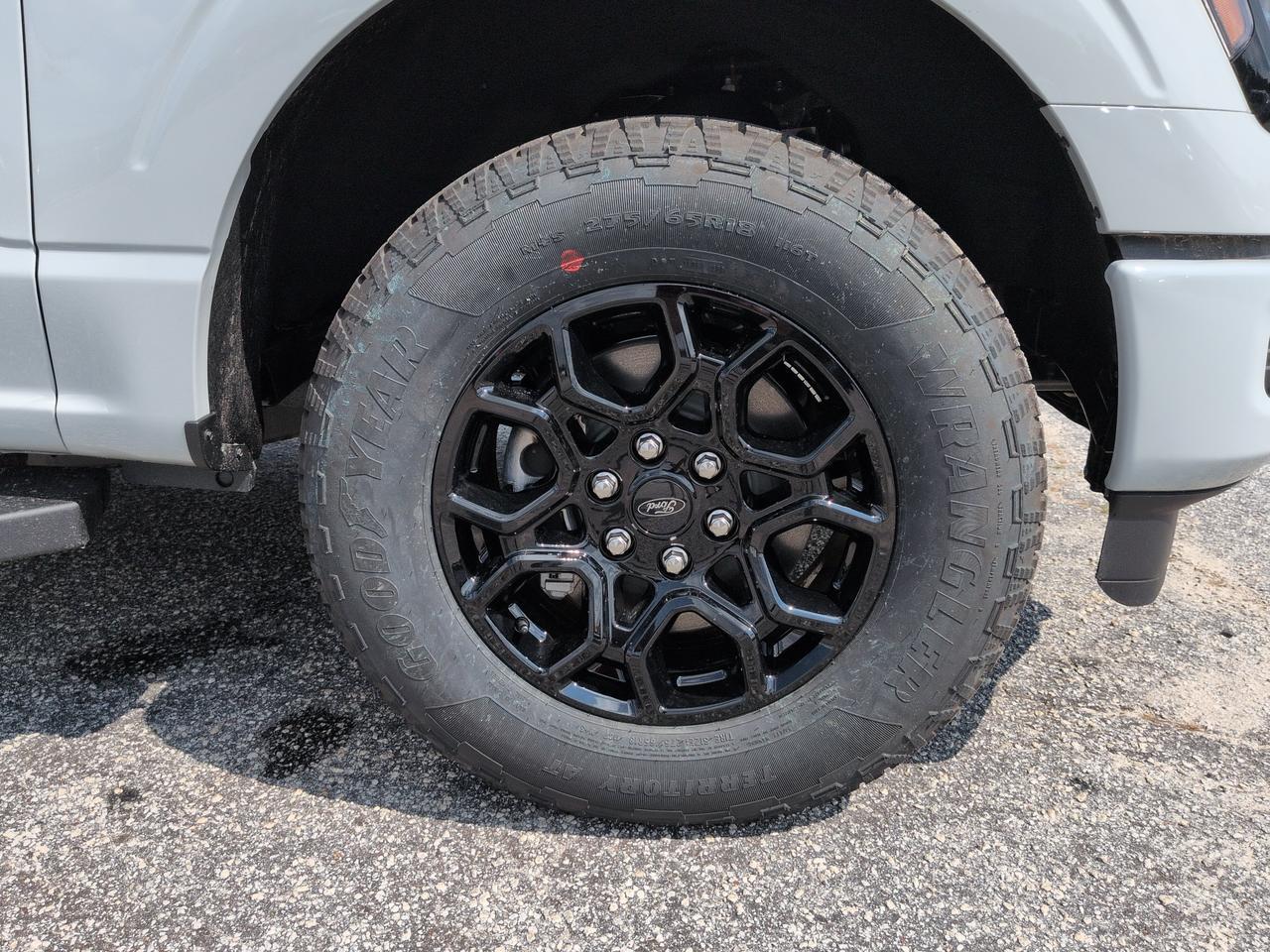 2026 Ford F-150 XLT Winder GA