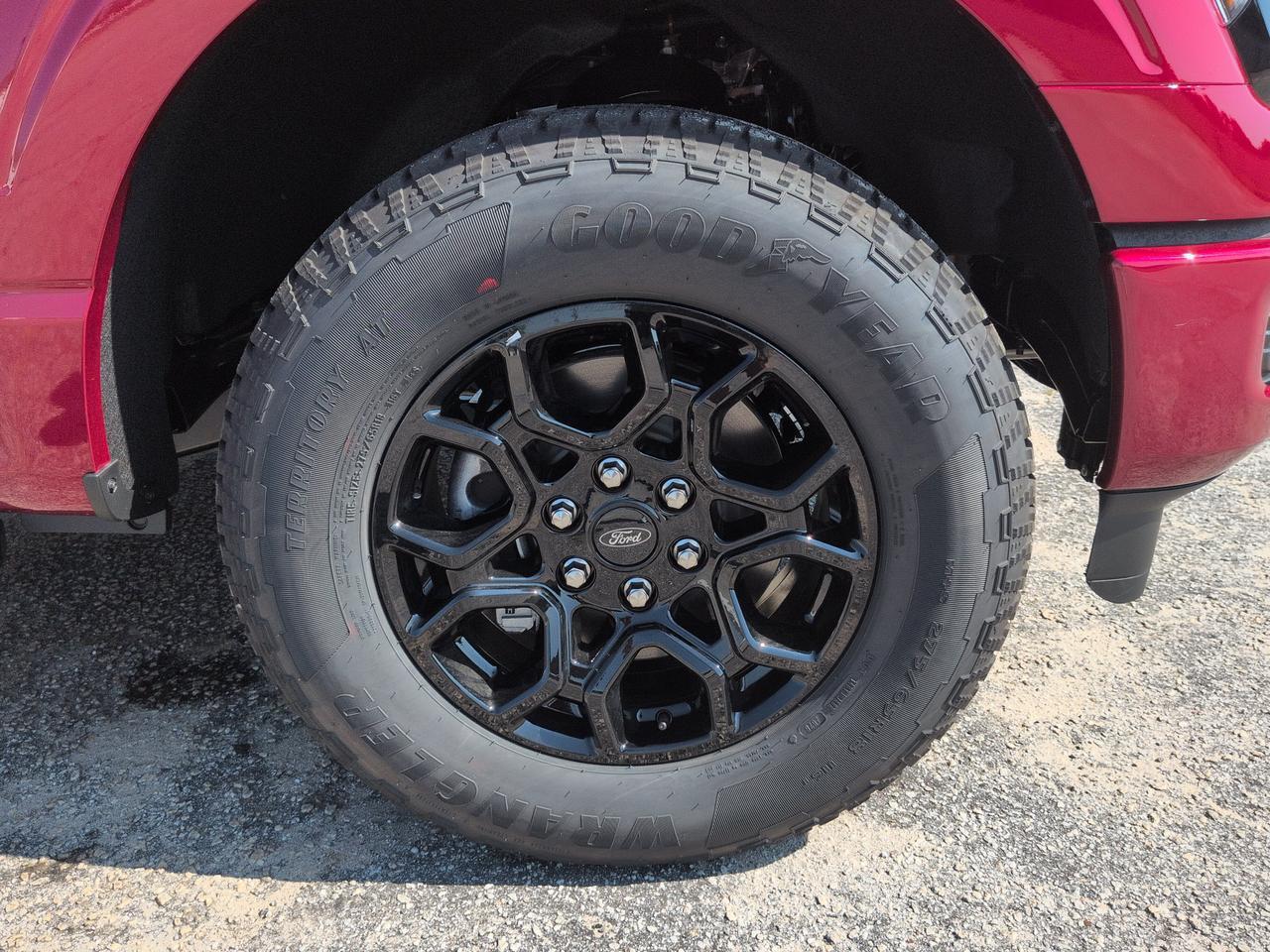 2026 Ford F-150 XLT Winder GA