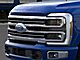 2026 Ford F-250SD Platinum Oshkosh WI 2026 Ford F-250SD Platinum Oshkosh WI
