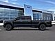 2026 Ford F-250SD Platinum Oshkosh WI