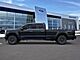 2026 Ford F-250SD Platinum Oshkosh WI