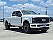 2026 Ford F-250SD SRW Platinum