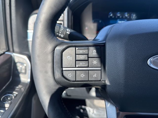 2026 Ford F-350SD Platinum Random Lake WI