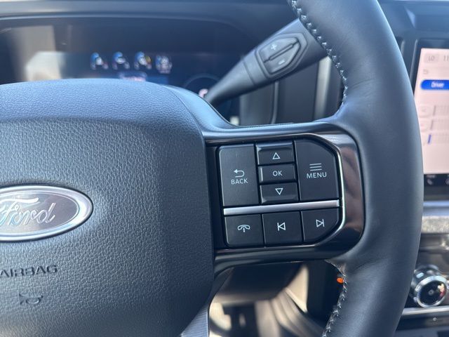 2026 Ford F-350SD Platinum Random Lake WI