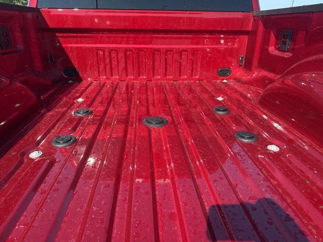 2026 Ford F-350SD Platinum Random Lake WI