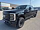 2026 Ford F-350SD Platinum Milwaukee WI
