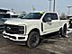 2026 Ford F-350SD Platinum Oshkosh WI 2026 Ford F-350SD Platinum Oshkosh WI
