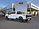 2026 Ford F-350SD Platinum Oshkosh WI 2026 Ford F-350SD Platinum Oshkosh WI