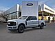 2026 Ford F-350SD Platinum Oshkosh WI