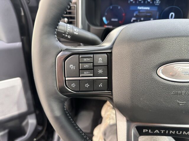 2026 Ford F-350SD Platinum Watertown SD