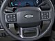 2026 Ford F-450SD Platinum Oshkosh WI