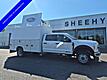 2026 Ford F-550SD XL SERVICE BODY