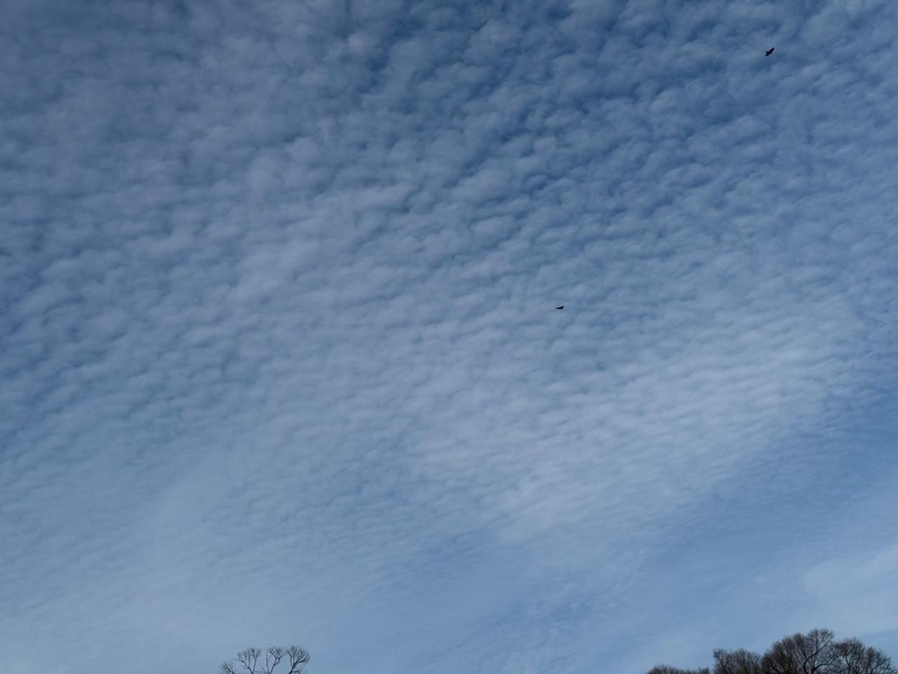 2026 Ford F-550SD XL Gaithersburg MD