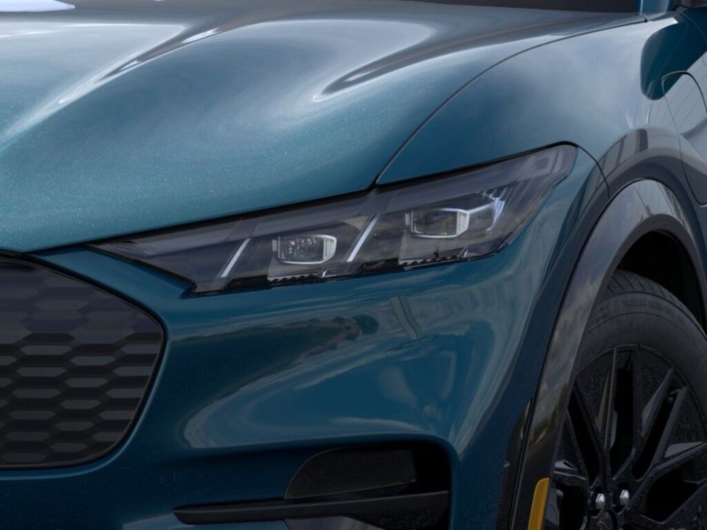 2026 Ford MUSTANG MACH-E M Owego NY