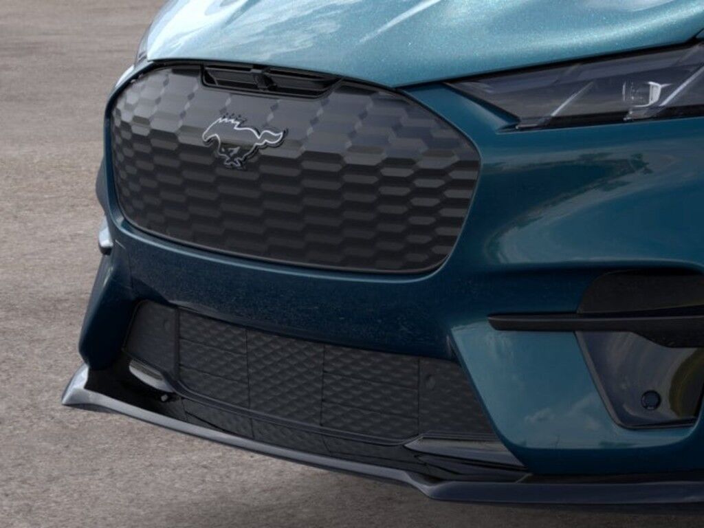 2026 Ford MUSTANG MACH-E M Owego NY