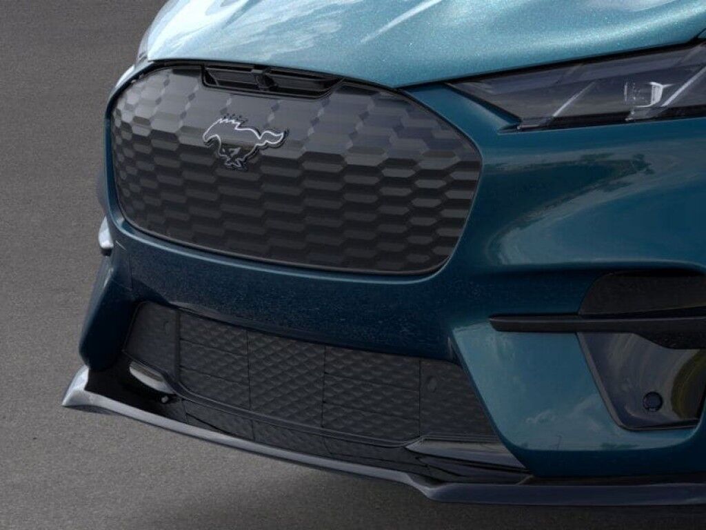2026 Ford MUSTANG MACH-E M Owego NY