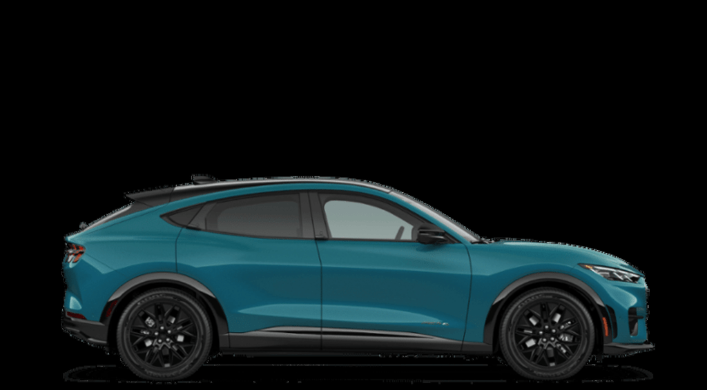 2026 Ford MUSTANG MACH-E M Owego NY