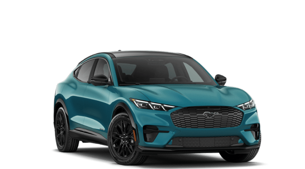 2026 Ford MUSTANG MACH-E M Owego NY