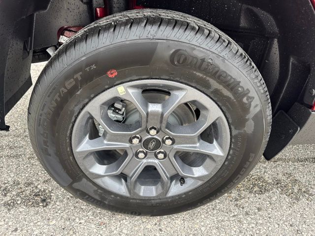 2026 Ford Maverick XLT Random Lake WI