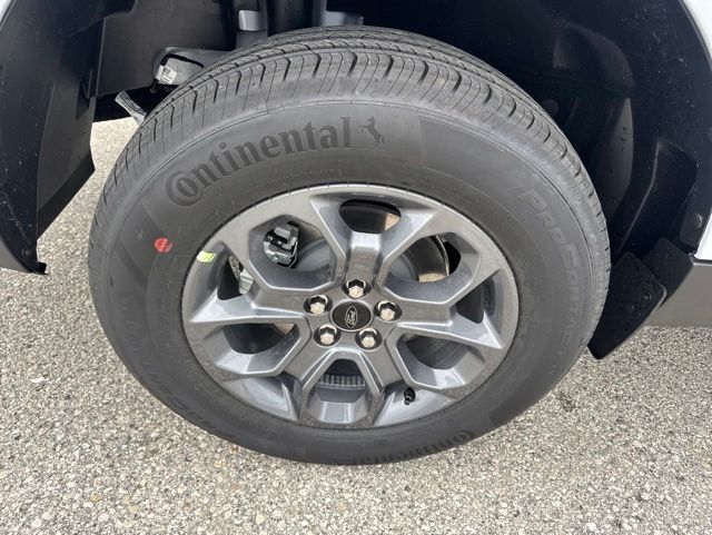 2026 Ford Maverick XLT Random Lake WI
