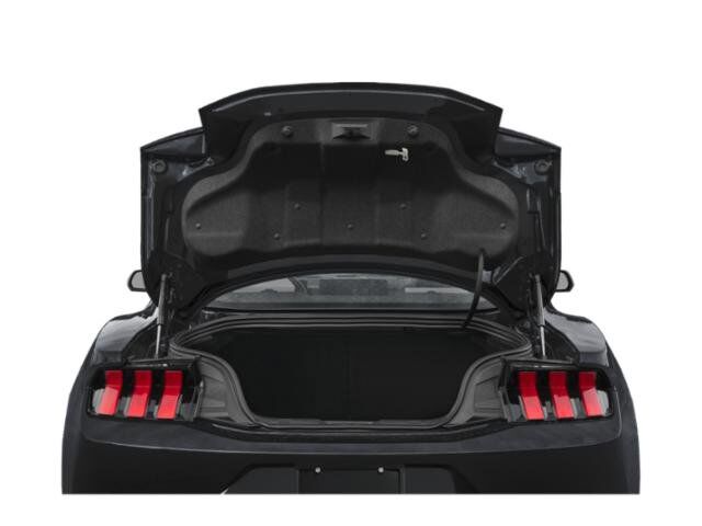 2026 Ford Mustang Eco Winder GA