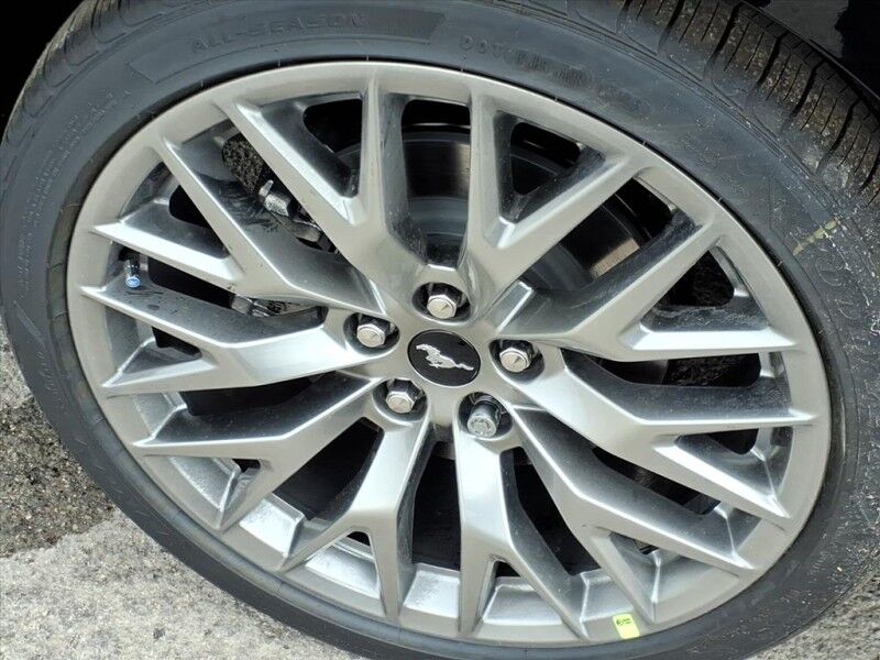 2026 Ford Mustang EcoBoost Del Rio TX