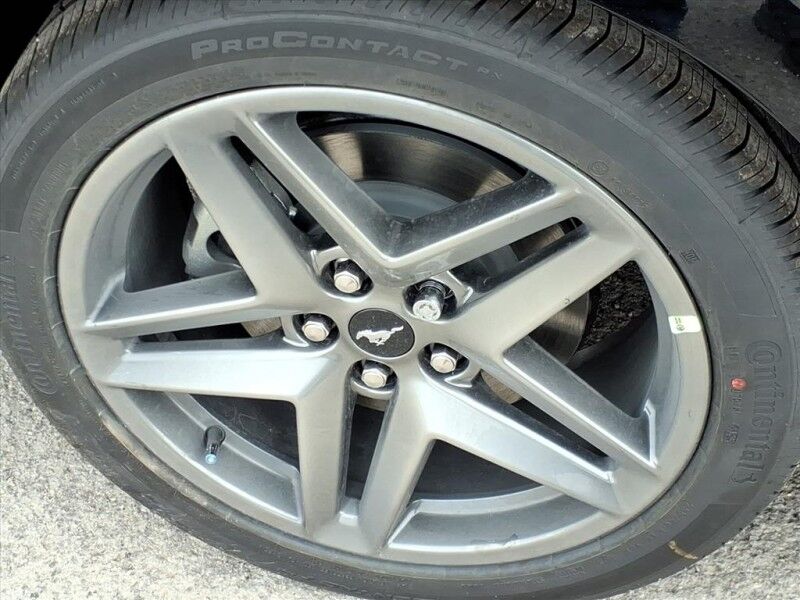 2026 Ford Mustang EcoBoost Del Rio TX