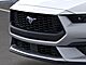 2026 Ford Mustang EcoBoost Oshkosh WI 2026 Ford Mustang EcoBoost Oshkosh WI