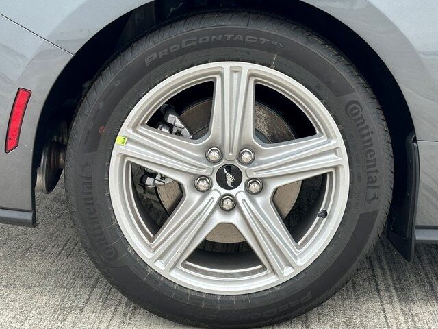 2026 Ford Mustang EcoBoost Springfield VA