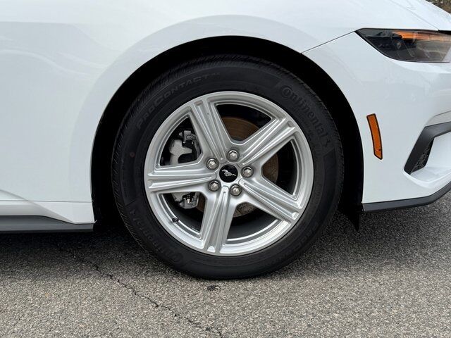 2026 Ford Mustang EcoBoost Springfield VA