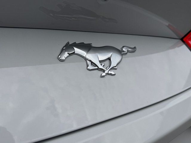 2026 Ford Mustang EcoBoost Springfield VA