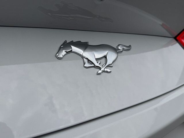 2026 Ford Mustang EcoBoost Springfield VA