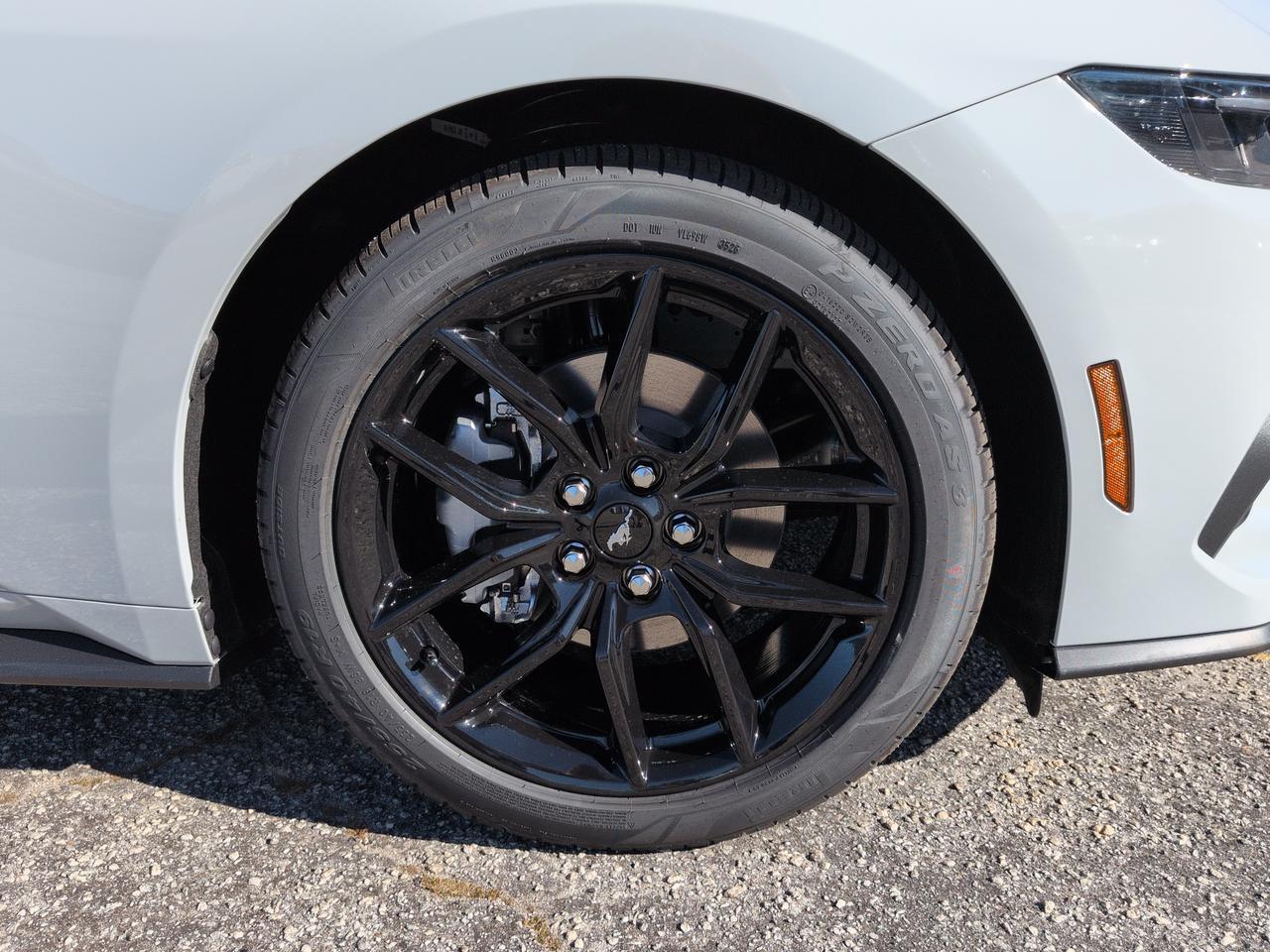 2026 Ford Mustang Ecoboost Winder GA