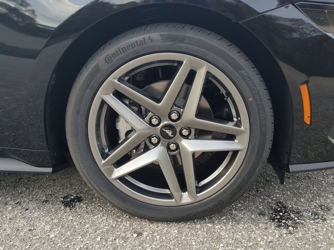 2026 Ford Mustang Ecoboost Winder GA