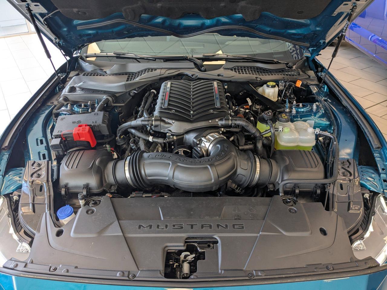2026 Ford Mustang GT Premium Winder GA