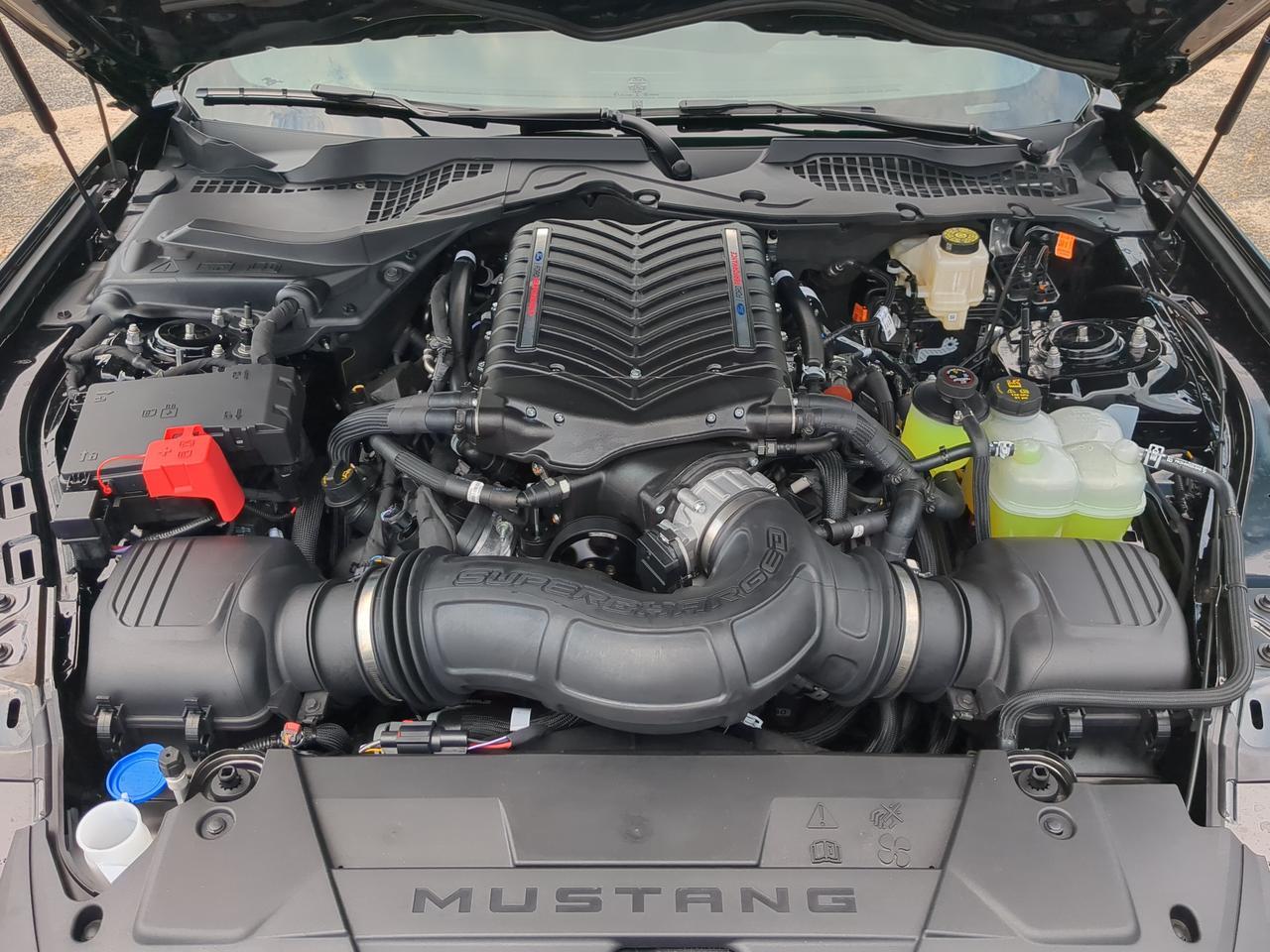 2026 Ford Mustang GT Winder GA