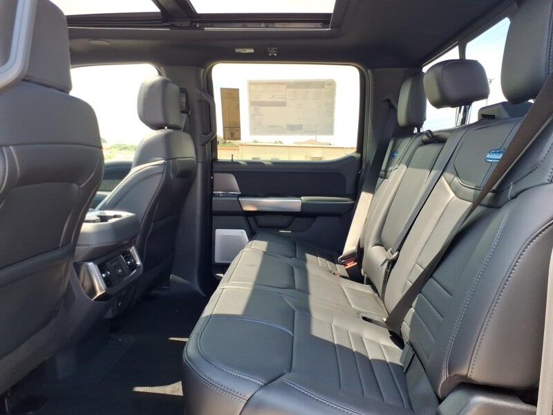 2026 Ford Super Duty F-250 SRW Platinum Del Rio TX