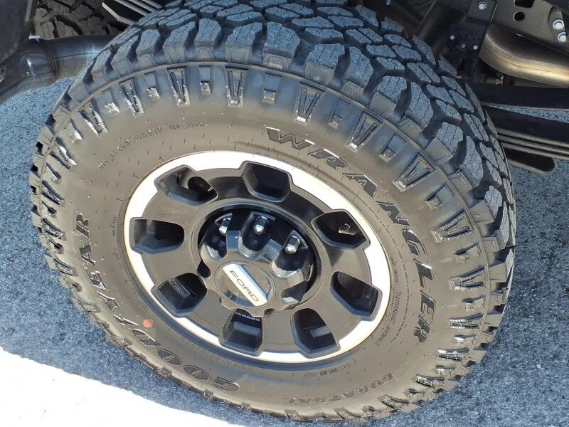 2026 Ford Super Duty F-250 SRW Platinum Del Rio TX