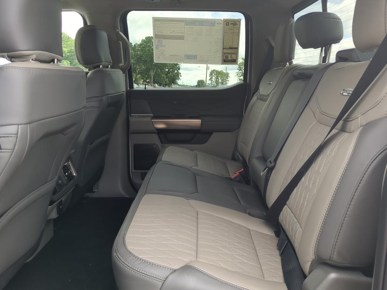 2026 Ford Super Duty F-250 SRW Platinum Plus Appleton WI