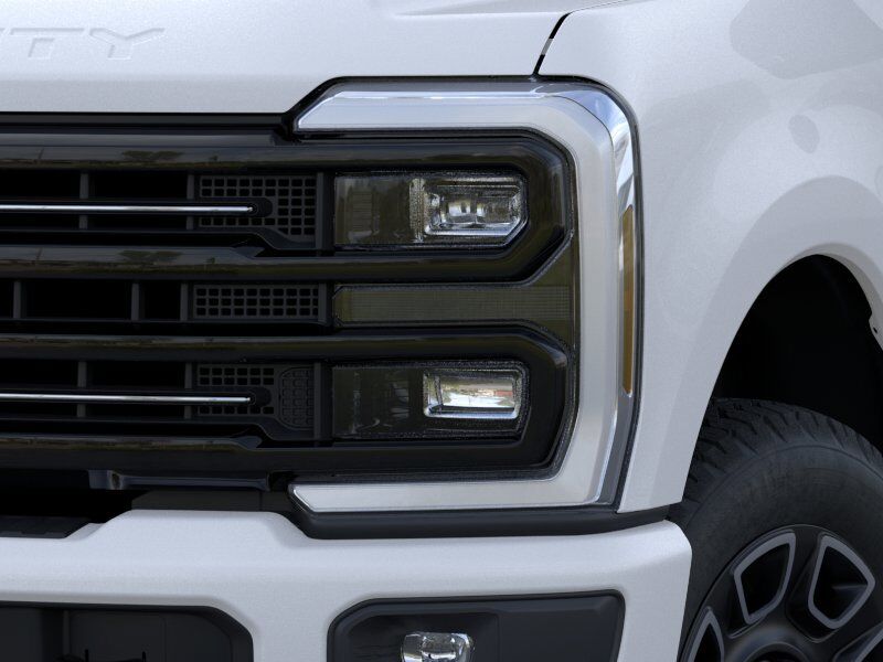 2026 Ford Super Duty F-250 SRW Platinum Winder GA