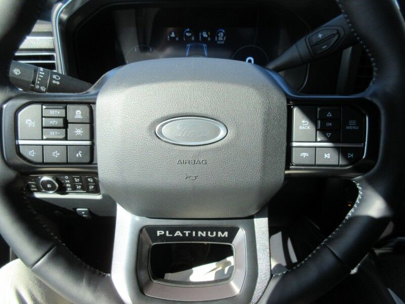 2026 Ford Super Duty F-350 SRW Platinum St. George SC