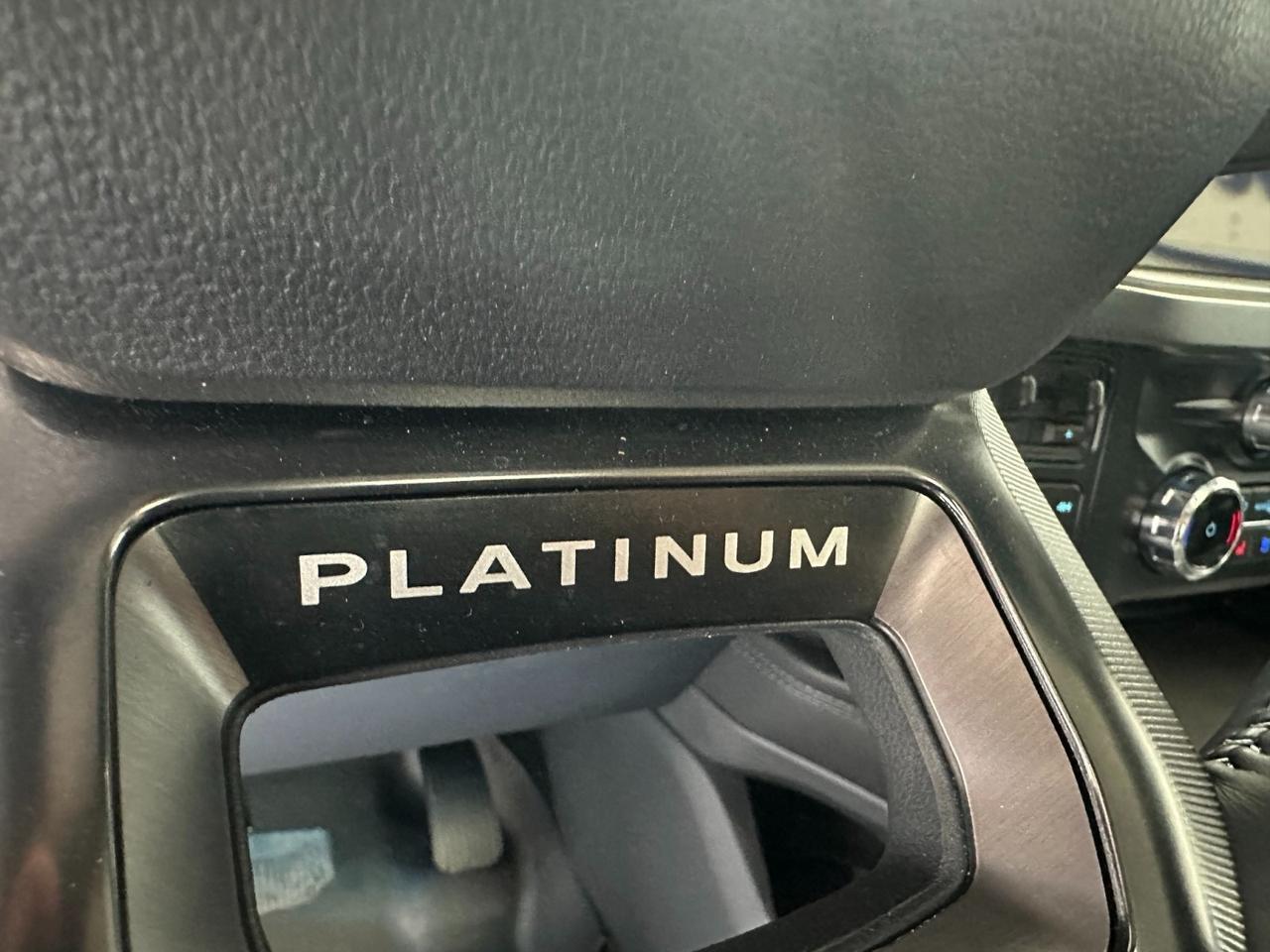 2026 Ford Super Duty F-450 DRW Platinum Houston TX