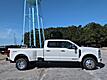 2026 Ford Super Duty F-450 DRW Platinum Plus