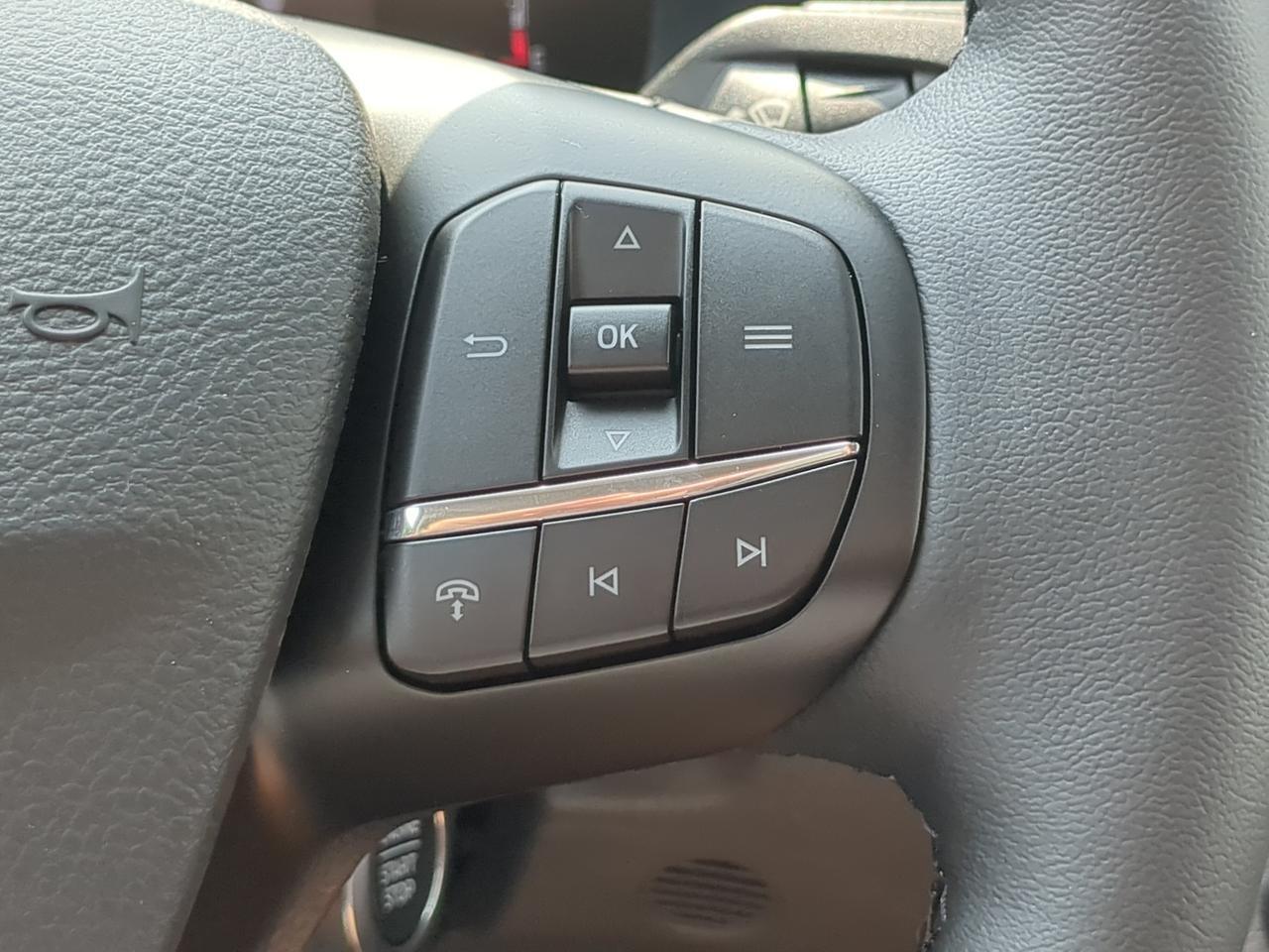 2026 Ford Transit Passenger Wagon XLT Appleton WI