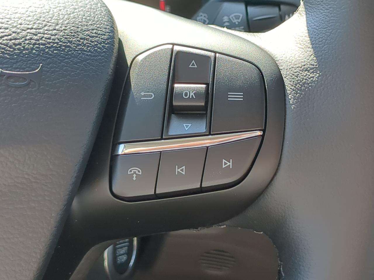 2026 Ford Transit Passenger Wagon XLT Appleton WI